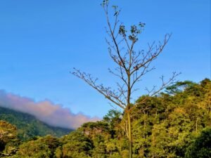 Photo 22-2-23, 4 16 58 PM