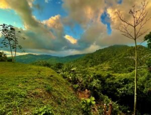 Photo 22-2-23, 4 16 59 PM (1)