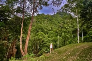 Photo 22-2-23, 4 16 59 PM