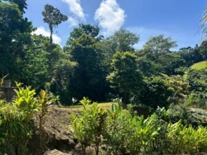 WhatsApp Image 2024-09-12 at 9.54.23 AM