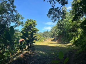 WhatsApp Image 2024-09-12 at 9.54.26 AM (2)