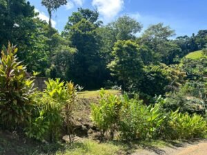 WhatsApp Image 2024-09-12 at 9.54.26 AM