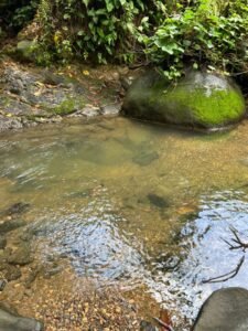 WhatsApp Image 2024-09-20 at 12.41.18 PM