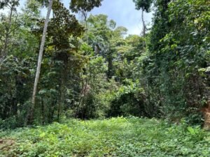 WhatsApp Image 2024-09-20 at 12.41.20 PM (1)