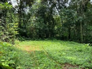 WhatsApp Image 2024-09-20 at 12.41.21 PM