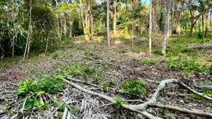 b1f0ec5d-f21d-4a39-9835-ad9fa9cf752e