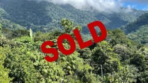 bf8b8236-c39e-49ba-9309-df3ea2653911-Photoroom (2)