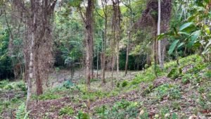 ca68caa9-92cb-4244-8fdb-dbc646760468