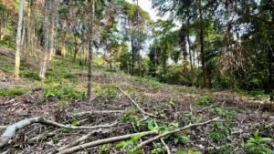 ccf169fe-61a9-46f3-9d24-7ac0ae128347