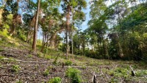 de9306d3-1959-468c-bc84-e0395e37a8c4