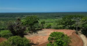 dji_fly_20240316_064524_28_1710540501324_photo