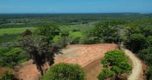 dji_fly_20240316_064606_32_1710540496304_photo