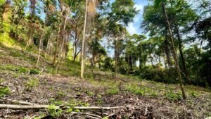 e8b73635-5941-4d68-bca8-56e72274ad24