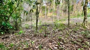 eb3d059a-1959-467d-9ec2-63d3db878b2c