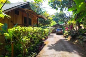 front driveway cabin