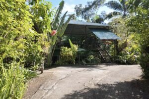 greenhouse from road