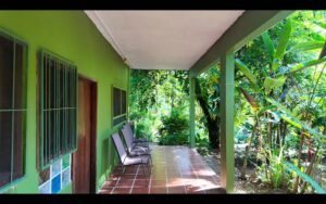 greenhouse lower patio