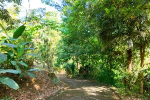 paved road going down