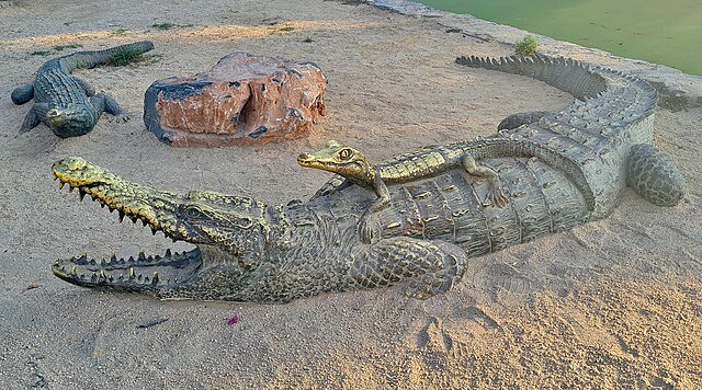 Bronze statue of American Crocodiles and young in Mexico. c/o Bernard DUPONT, wikicommons.