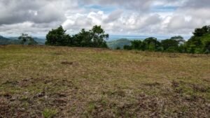 130012 Ocean View Property in Tres Rios 01