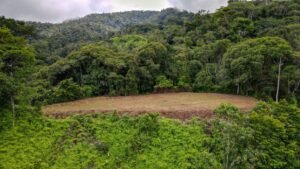 130012 Ocean View Property in Tres Rios 02