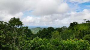 130012 Ocean View Property in Tres Rios 03