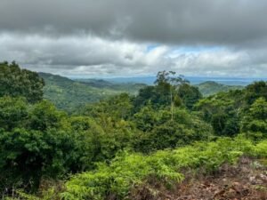 130012 Ocean View Property in Tres Rios 07