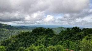 130012 Ocean View Property in Tres Rios 08