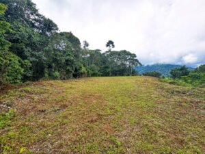 130012 Ocean View Property in Tres Rios 09