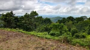 130012 Ocean View Property in Tres Rios 10