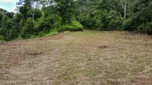 130012 Ocean View Property in Tres Rios 13