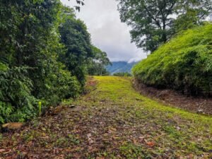 130012 Ocean View Property in Tres Rios 14