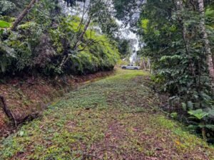 130012 Ocean View Property in Tres Rios 15