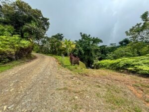 130012 Ocean View Property in Tres Rios 16