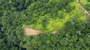 130012 Ocean View Property in Tres Rios 17