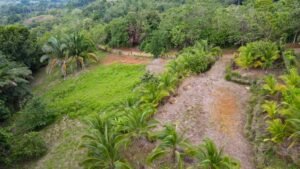 Property For Sale in Ojochal Costa Rica