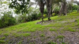 Property For Sale in Ojochal Costa Rica