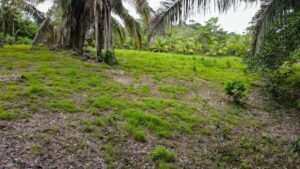 Property For Sale in Ojochal Costa Rica