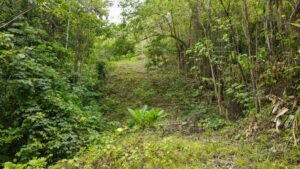 Property For Sale in Ojochal Costa Rica
