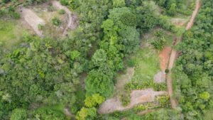 Property For Sale in Ojochal Costa Rica