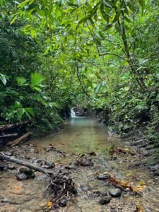 150003 Luxury Home For Sale 44