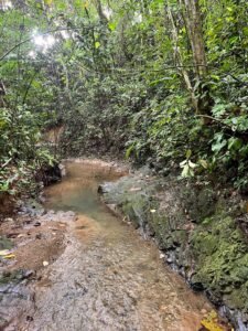 150003 Luxury Home For Sale 45