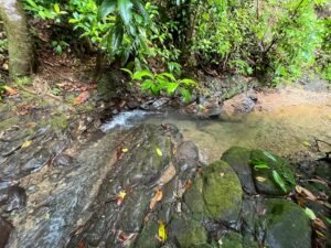 150003 Luxury Home For Sale 46