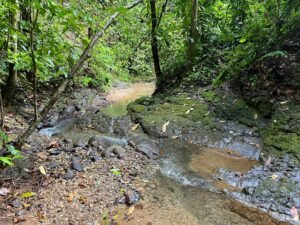 150003 Luxury Home For Sale 47