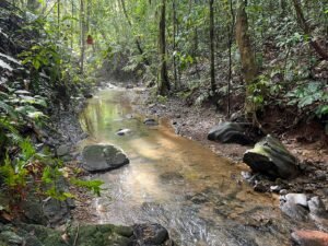 150003 Luxury Home For Sale 48