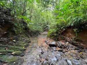 150003 Luxury Home For Sale 49