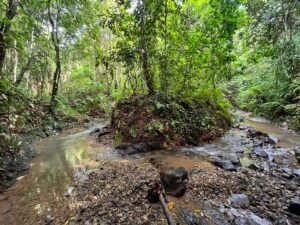 150003 Luxury Home For Sale 50