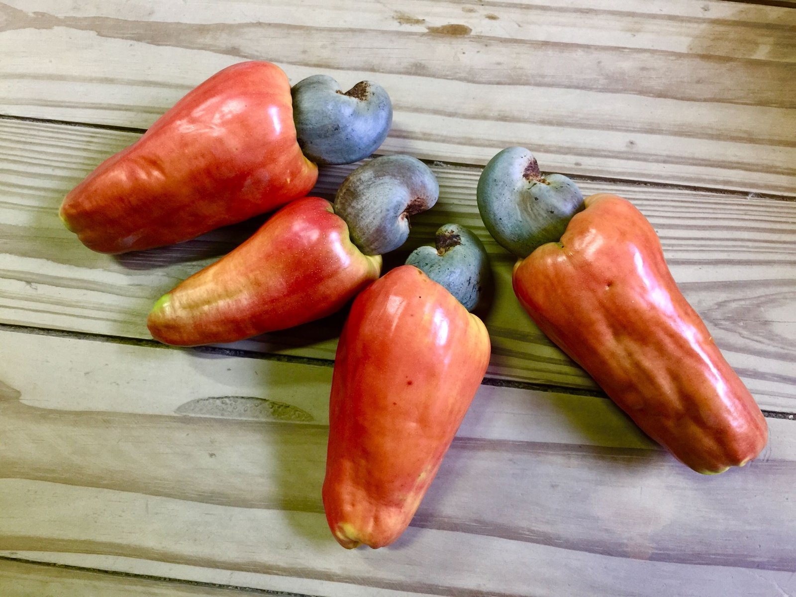 Ben's own Cashew fruit.