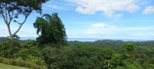 5509 – Elegant Estate with Pacific & Jungle Views in Ojochal_06