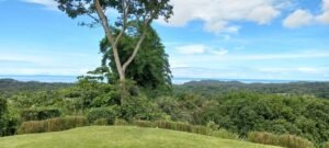 5509 – Elegant Estate with Pacific & Jungle Views in Ojochal_08